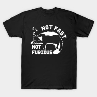 Funny cat Not Fast Not Furious cat Quote Cute cat T-Shirt